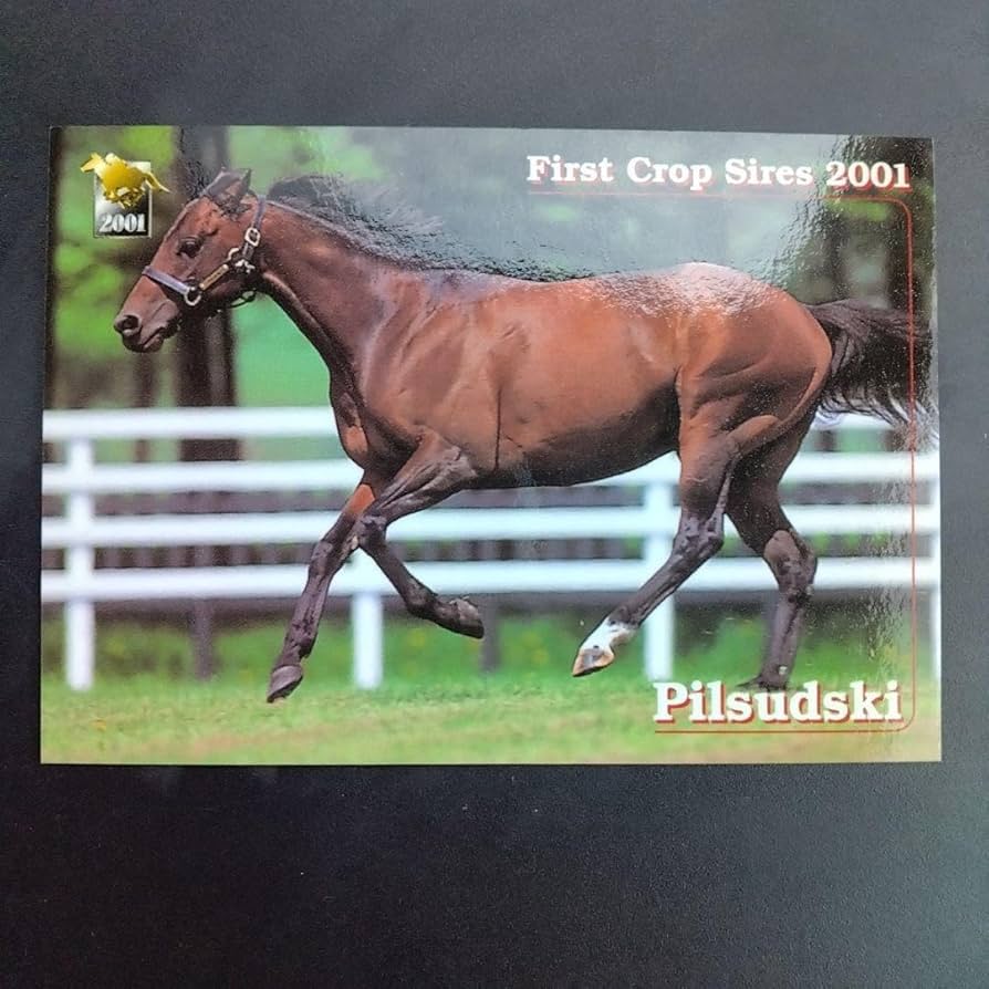 Amazon.co.jp: ピルサドスキー 競馬 カード CARD MADE IN JAPAN